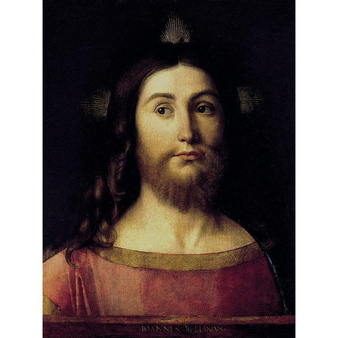 El Salvador White Modern Wood Framed Art Print by Bellini, Giovanni