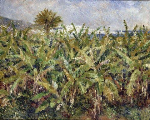 Field of Banana Trees Black Ornate Wood Framed Art Print with Double Matting by Renoir, Pierre-Auguste