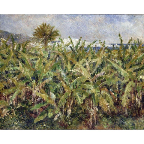 Field of Banana Trees Black Modern Wood Framed Art Print with Double Matting by Renoir, Pierre-Auguste