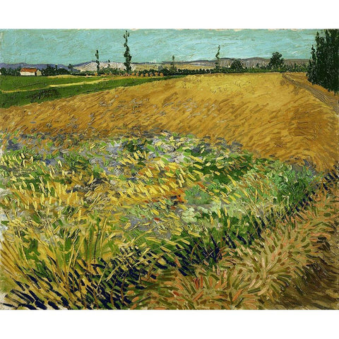 Wheatfield White Modern Wood Framed Art Print by van Gogh, Vincent