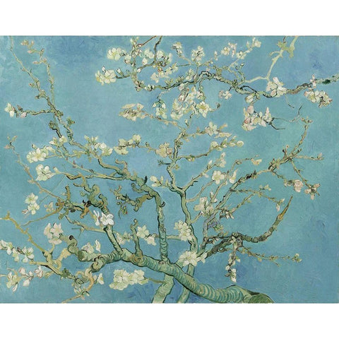 Almond blossom White Modern Wood Framed Art Print by van Gogh, Vincent