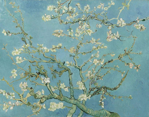 Almond blossom Black Ornate Wood Framed Art Print with Double Matting by van Gogh, Vincent