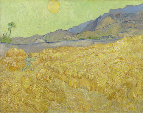 Wheatfield with a reaper White Modern Wood Framed Art Print with Double Matting by van Gogh, Vincent