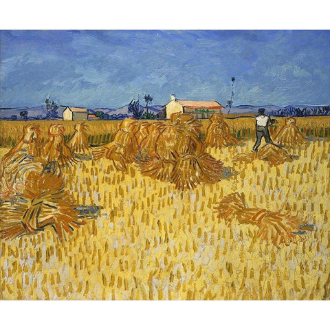 Corn Harvest in Provence Black Modern Wood Framed Art Print with Double Matting by van Gogh, Vincent