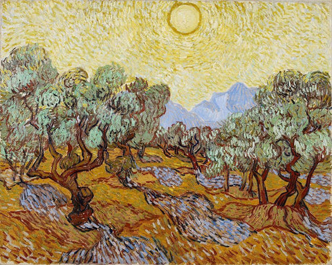 Olive Trees with yellow sky and sun Black Ornate Wood Framed Art Print with Double Matting by van Gogh, Vincent