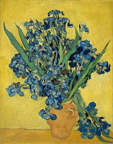 Irises Black Ornate Wood Framed Art Print with Double Matting by van Gogh, Vincent