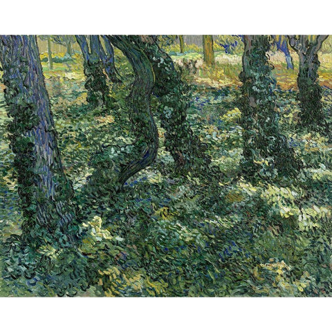 Undergrowth White Modern Wood Framed Art Print by van Gogh, Vincent