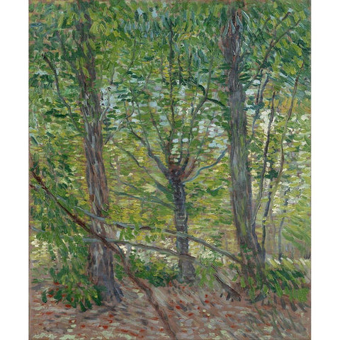 Trees Black Modern Wood Framed Art Print with Double Matting by van Gogh, Vincent