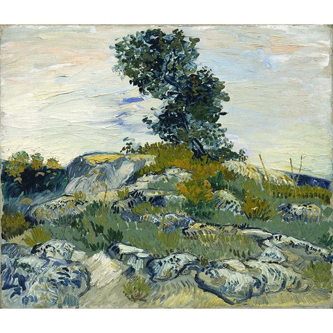 Rocks with Oak Tree White Modern Wood Framed Art Print by van Gogh, Vincent