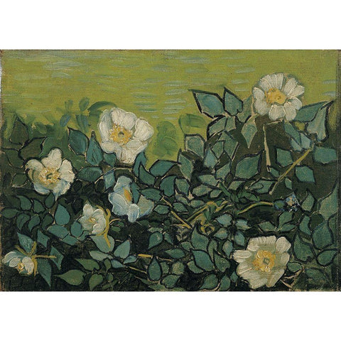 Wild roses Black Modern Wood Framed Art Print with Double Matting by van Gogh, Vincent