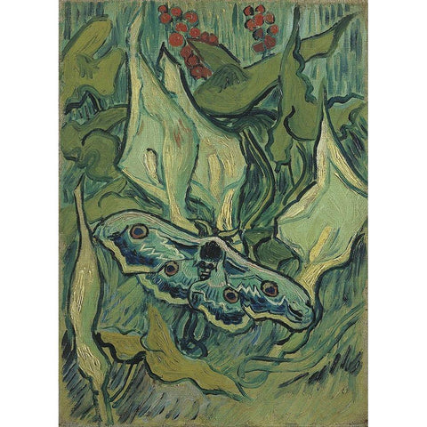 Emperor moth Gold Ornate Wood Framed Art Print with Double Matting by van Gogh, Vincent