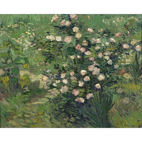 Roses Black Modern Wood Framed Art Print with Double Matting by van Gogh, Vincent