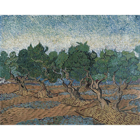 Olive grove Gold Ornate Wood Framed Art Print with Double Matting by van Gogh, Vincent