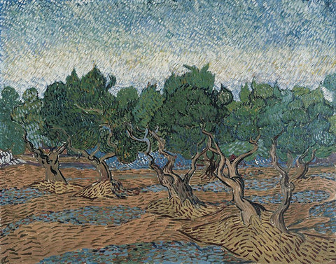 Olive grove Black Ornate Wood Framed Art Print with Double Matting by van Gogh, Vincent