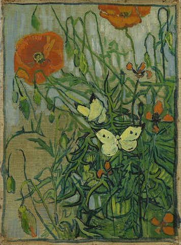 Butterflies and poppies White Modern Wood Framed Art Print with Double Matting by van Gogh, Vincent