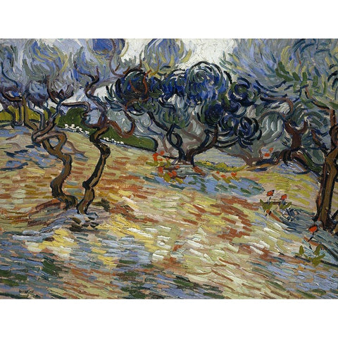 Olive Trees, Bright blue sky Black Modern Wood Framed Art Print by van Gogh, Vincent