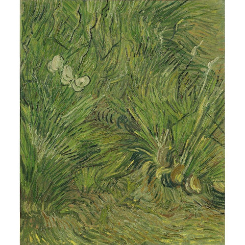 Garden with butterflies White Modern Wood Framed Art Print by van Gogh, Vincent