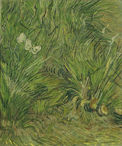 Garden with butterflies White Modern Wood Framed Art Print with Double Matting by van Gogh, Vincent