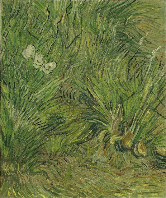 Image Only