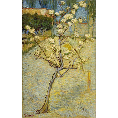 Small pear tree in blossom Gold Ornate Wood Framed Art Print with Double Matting by van Gogh, Vincent