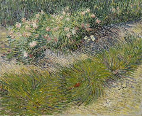 Grass and Butterflies White Modern Wood Framed Art Print with Double Matting by van Gogh, Vincent