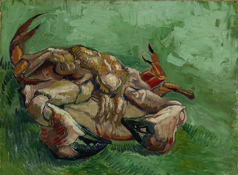 A crab on its back White Modern Wood Framed Art Print with Double Matting by van Gogh, Vincent