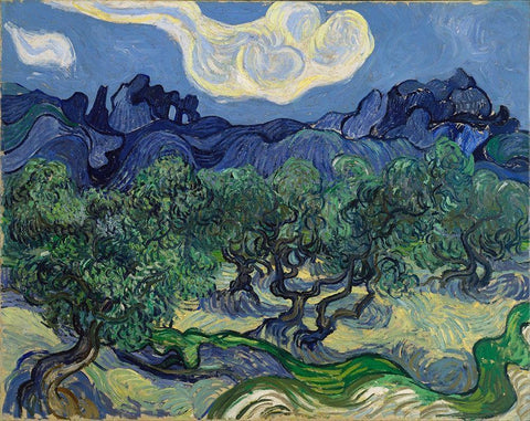 The Olive Trees Black Ornate Wood Framed Art Print with Double Matting by van Gogh, Vincent