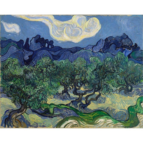 The Olive Trees White Modern Wood Framed Art Print by van Gogh, Vincent