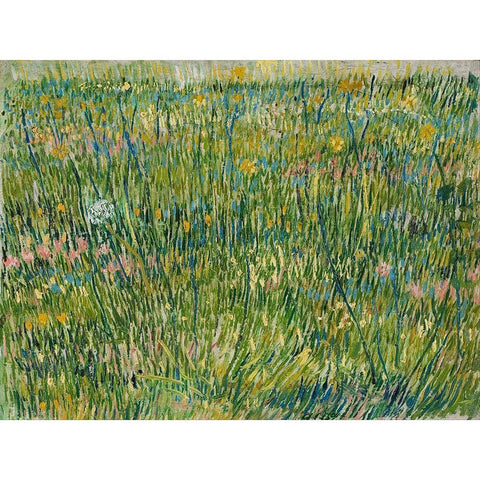 Patch of grass White Modern Wood Framed Art Print by van Gogh, Vincent