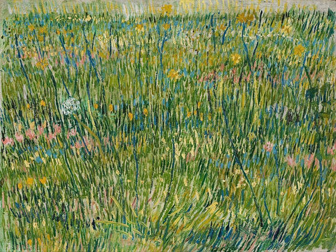 Patch of grass White Modern Wood Framed Art Print with Double Matting by van Gogh, Vincent