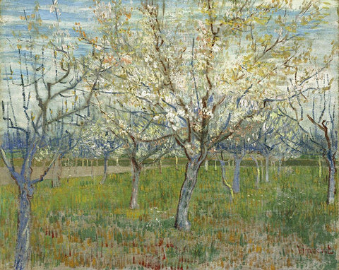 Orchard with Blooming Apricot Trees White Modern Wood Framed Art Print with Double Matting by van Gogh, Vincent