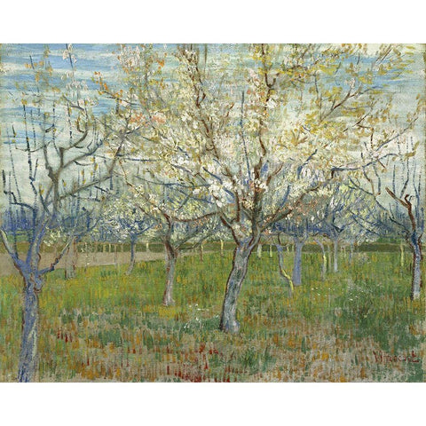 Orchard with Blooming Apricot Trees White Modern Wood Framed Art Print by van Gogh, Vincent