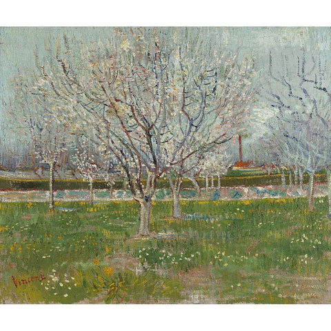 Orchard in Blossom Black Modern Wood Framed Art Print with Double Matting by van Gogh, Vincent