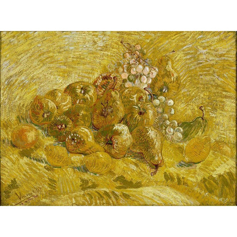 Quinces, lemons, pears and grapes Black Modern Wood Framed Art Print with Double Matting by van Gogh, Vincent