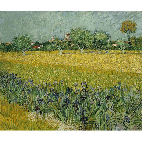 Field with flowers near Arles Black Modern Wood Framed Art Print with Double Matting by van Gogh, Vincent