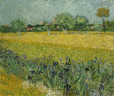 Field with flowers near Arles White Modern Wood Framed Art Print with Double Matting by van Gogh, Vincent