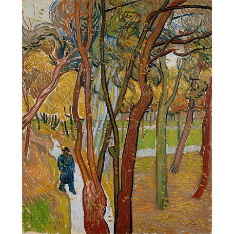 The garden of Saint Pauls Hospital White Modern Wood Framed Art Print by van Gogh, Vincent