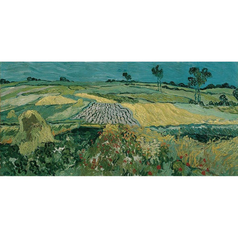 The Plain of Auvers White Modern Wood Framed Art Print by van Gogh, Vincent