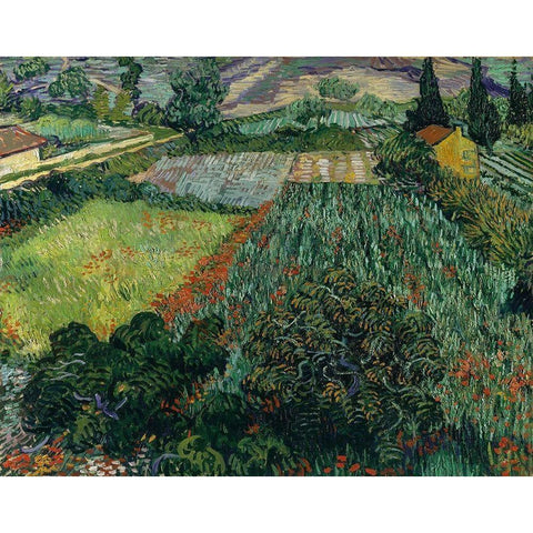 Field with Poppies Black Modern Wood Framed Art Print with Double Matting by van Gogh, Vincent