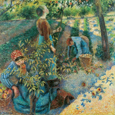 Apple Picking White Modern Wood Framed Art Print by Pissarro, Camille