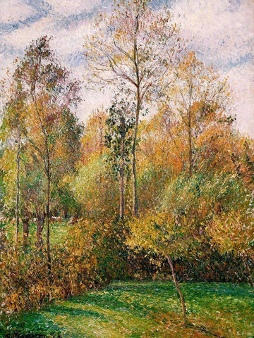 Automne, Peupliers, Eragny White Modern Wood Framed Art Print with Double Matting by Pissarro, Camille