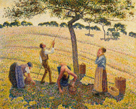 Apple harvest at Eragny White Modern Wood Framed Art Print with Double Matting by Pissarro, Camille