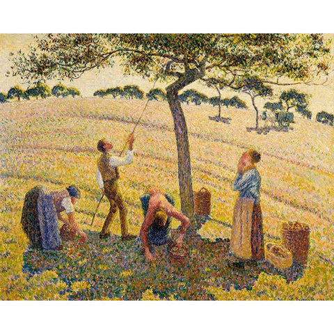 Apple harvest at Eragny White Modern Wood Framed Art Print by Pissarro, Camille