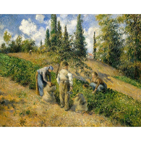 The Harvest, Pontoise White Modern Wood Framed Art Print by Pissarro, Camille