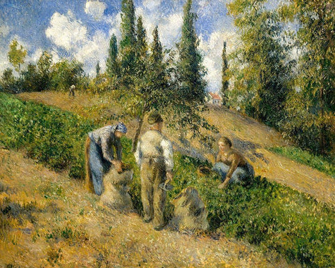 The Harvest, Pontoise White Modern Wood Framed Art Print with Double Matting by Pissarro, Camille