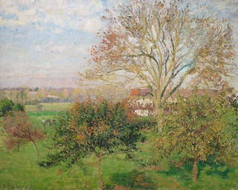 The Big Walnut Tree, Autumn Morning, Eragny White Modern Wood Framed Art Print with Double Matting by Pissarro, Camille