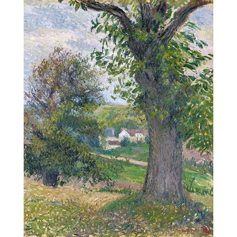 Chestnut trees in Osny White Modern Wood Framed Art Print by Pissarro, Camille