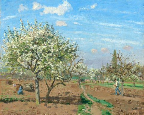 Orchard in Bloom, Louveciennes White Modern Wood Framed Art Print with Double Matting by Pissarro, Camille