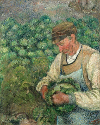 The Gardener - Old Peasant with Cabbage White Modern Wood Framed Art Print with Double Matting by Pissarro, Camille