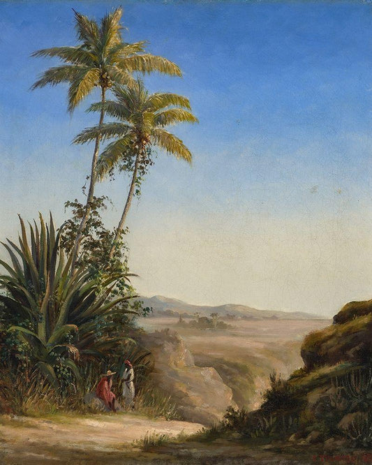 Image Only